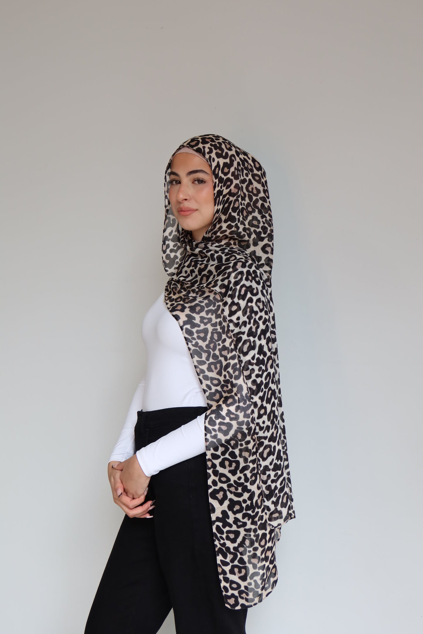 Snow Leopard Modal