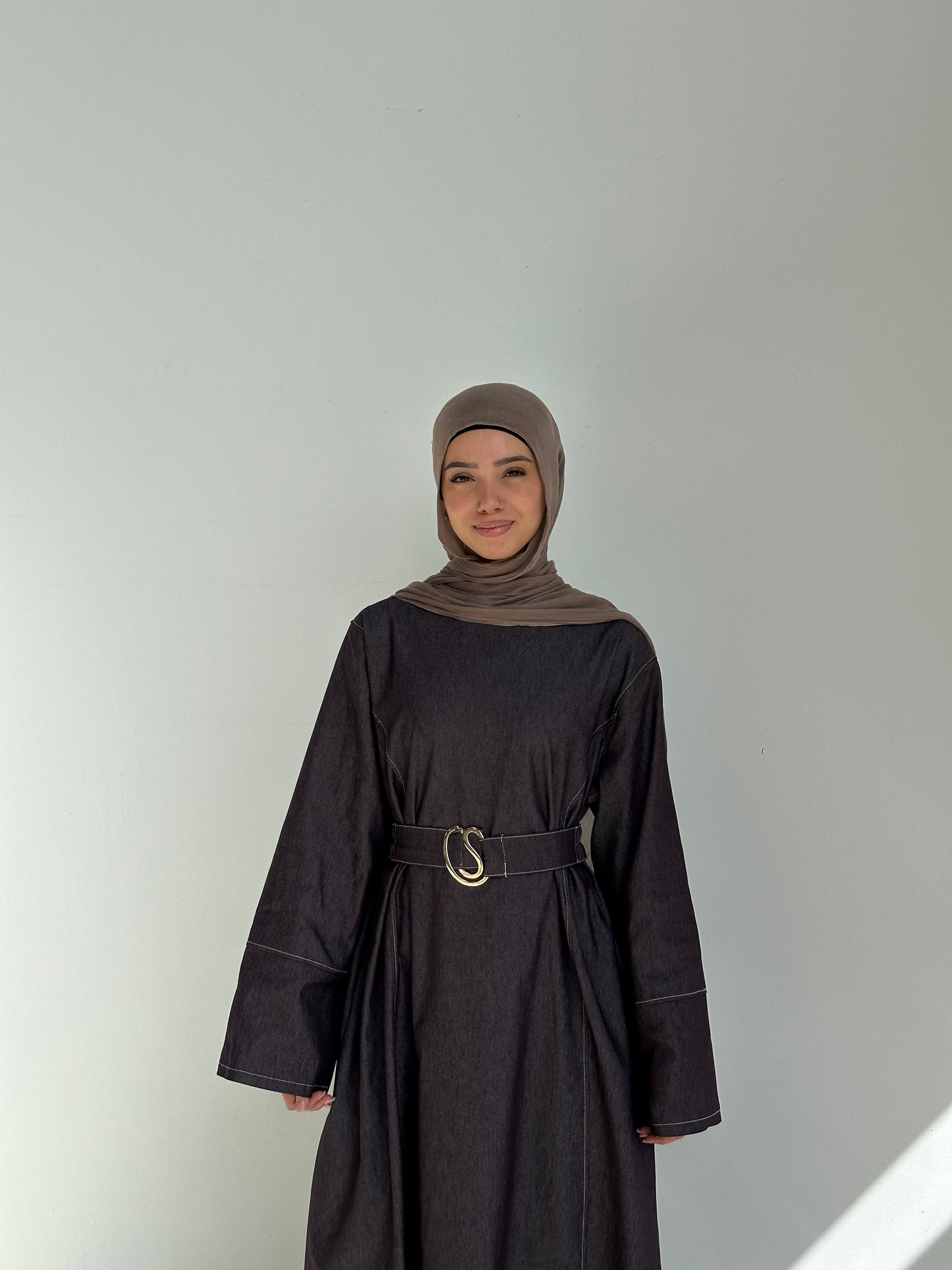 Gia Denim Dress