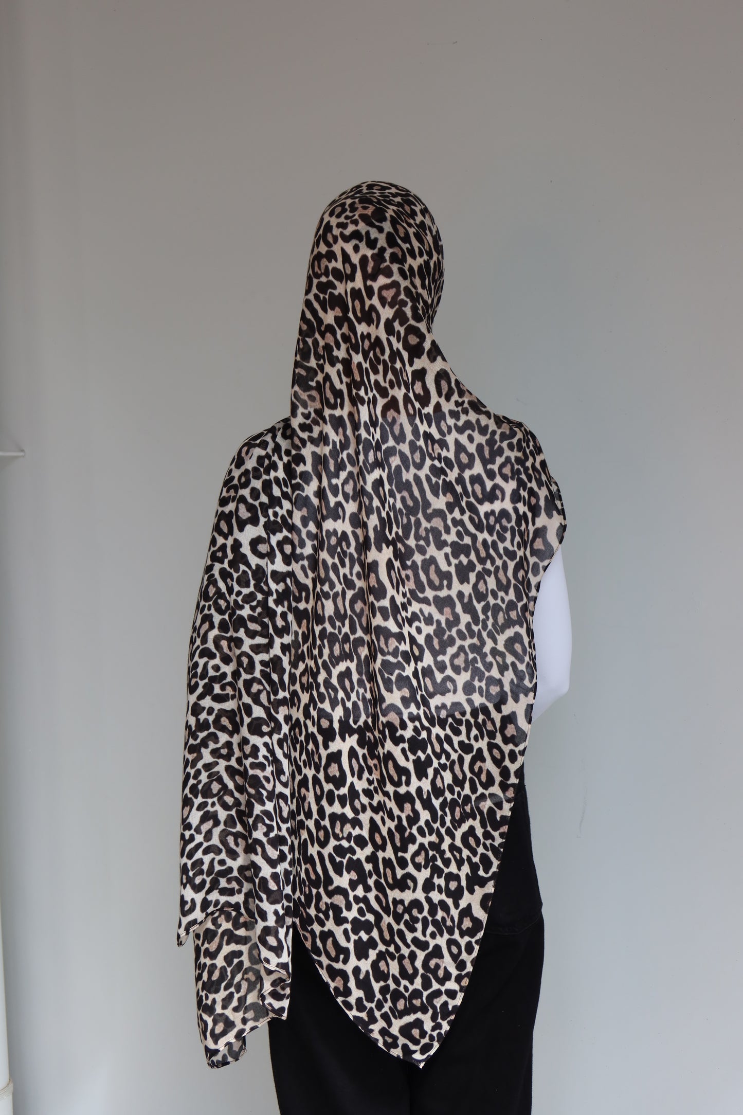 Snow Leopard Modal