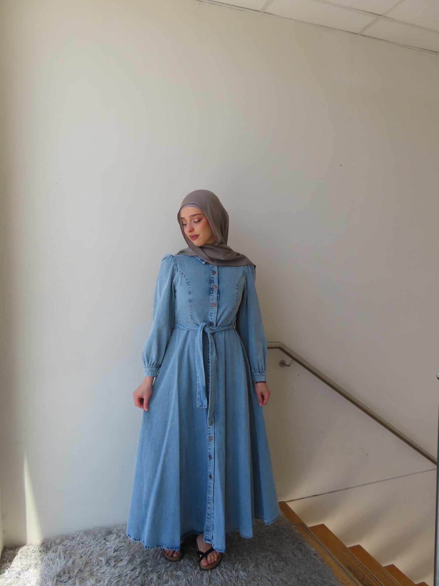 Zera Denim Dress