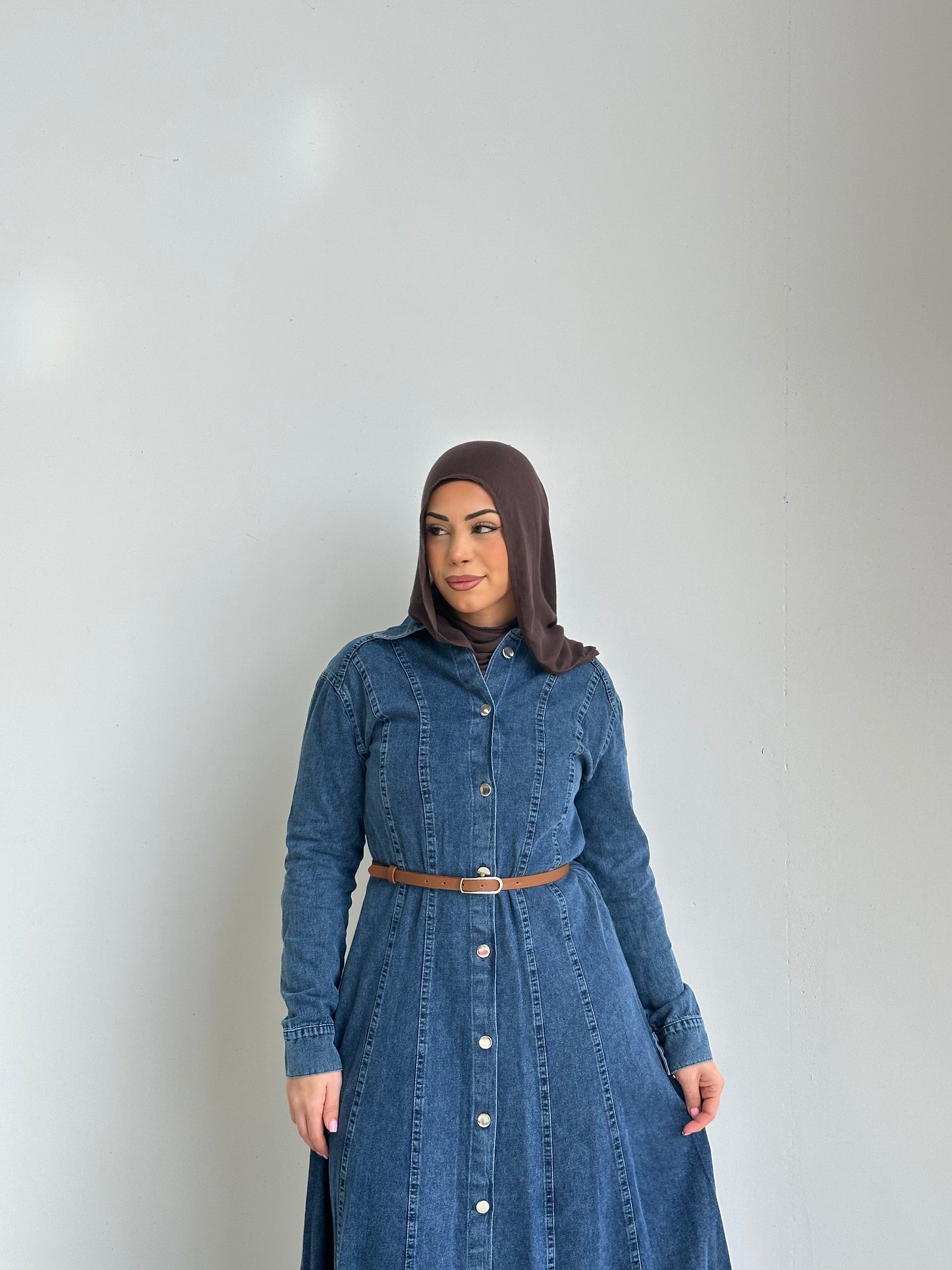 Miya Denim Dress