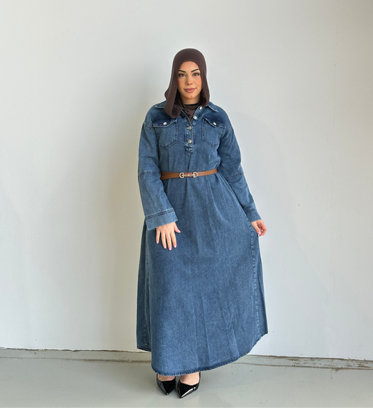 Ayla Denim Dress