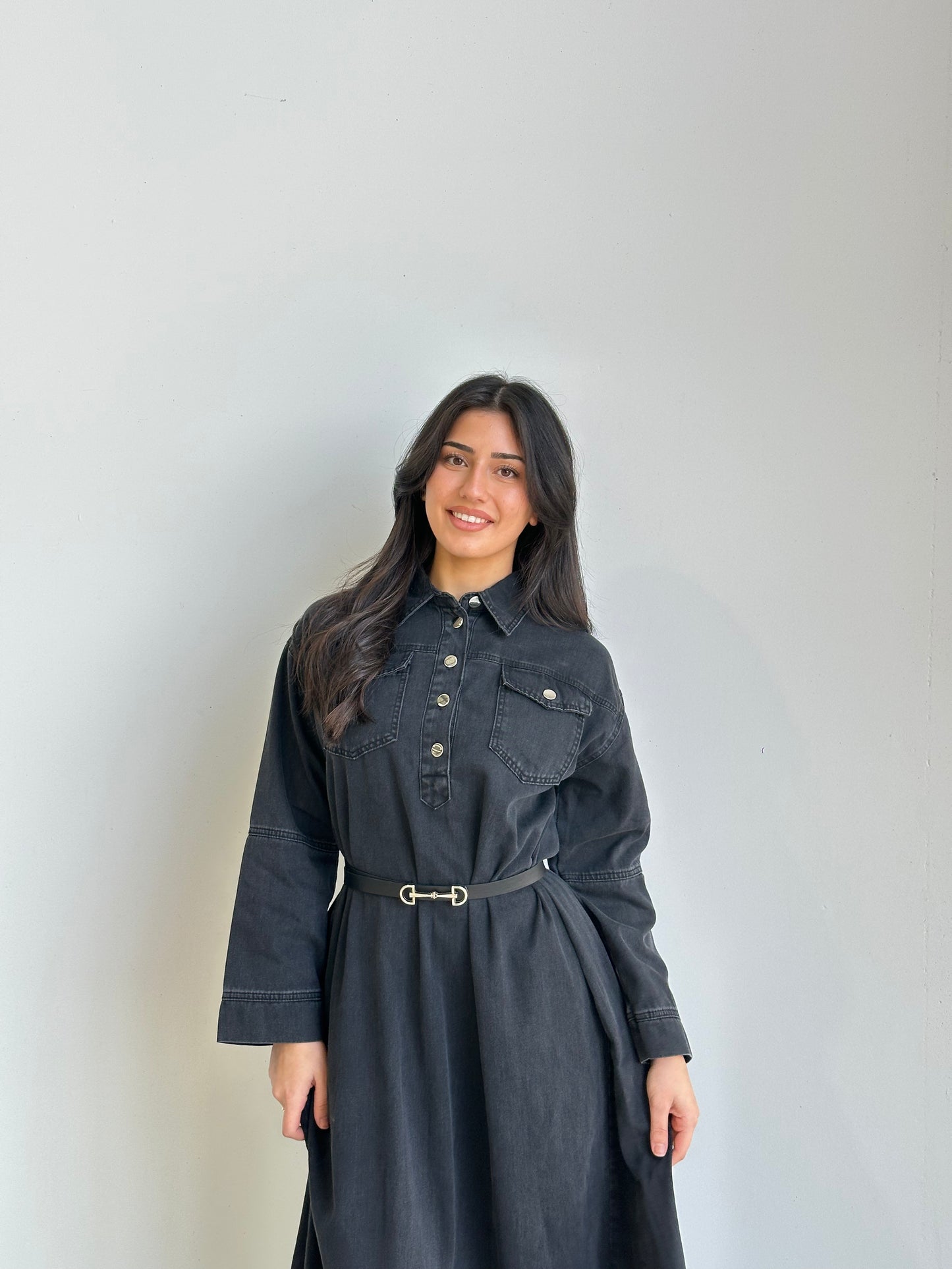 Ayla Denim Dress