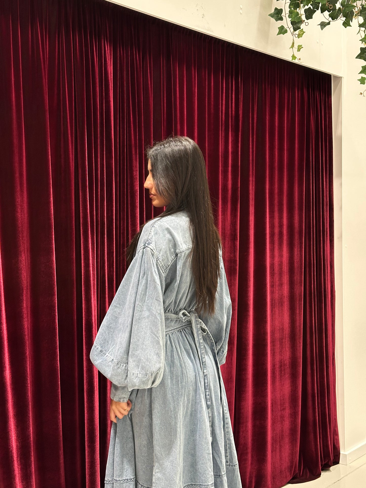 Ayana Denim Dress