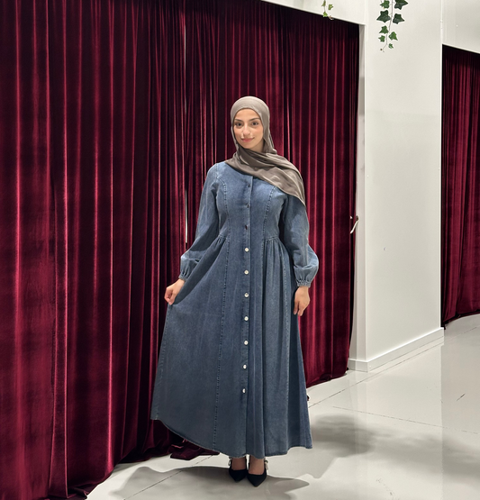 Aria Denim Dress